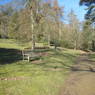 38-Winkworth-Arboretum-National-Trust-1666