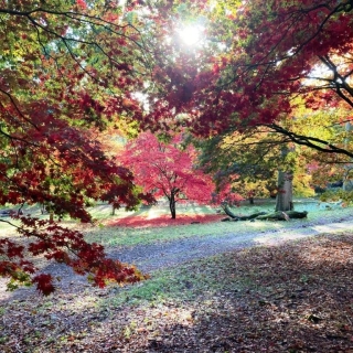 PHOTO-2020-10-24-10-43-53-1-1024x768
